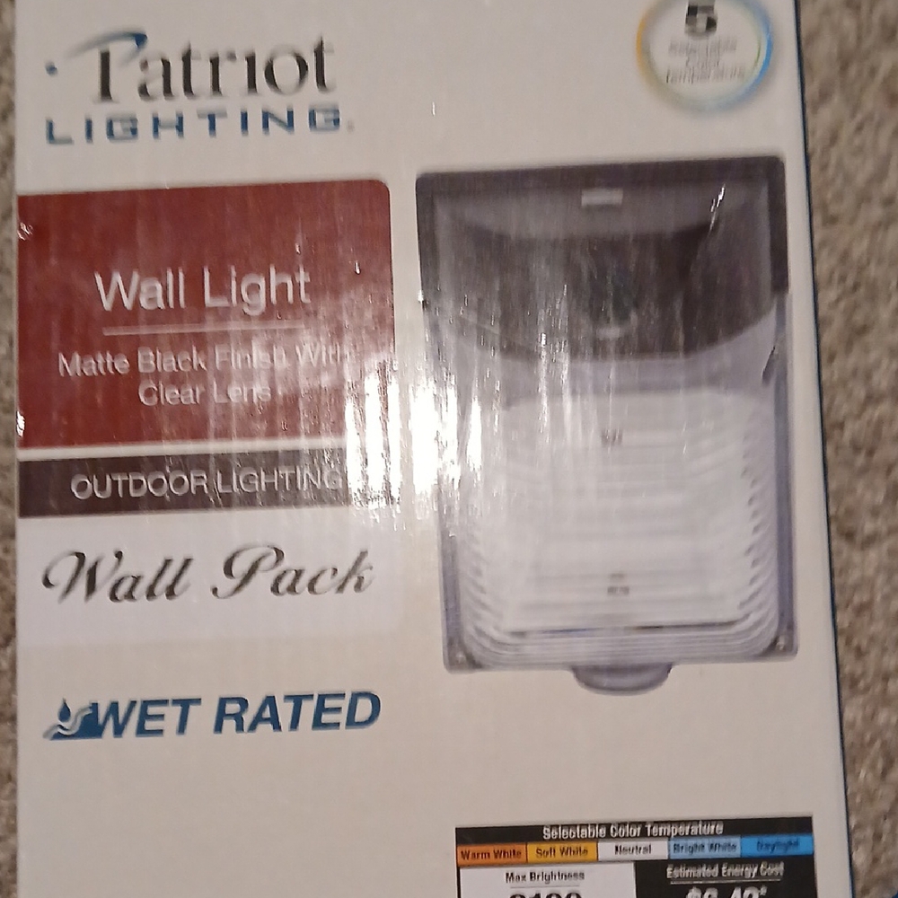 Matte Black Wall Light